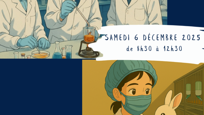 Capture d’écran 2025-11-18 084223.png