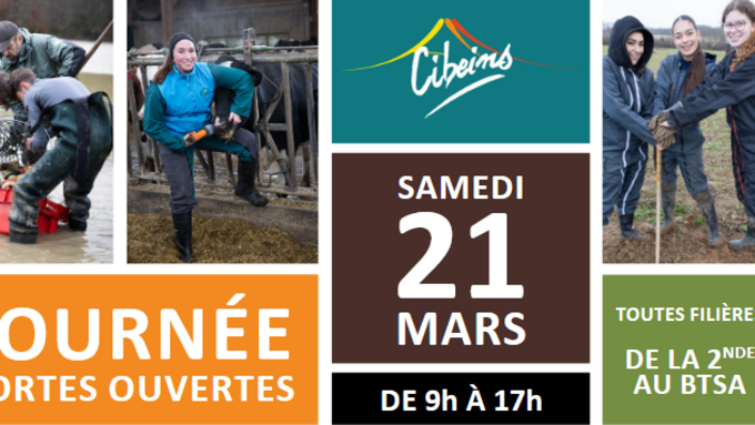 Capture d’écran 2026-03-03 142932.png